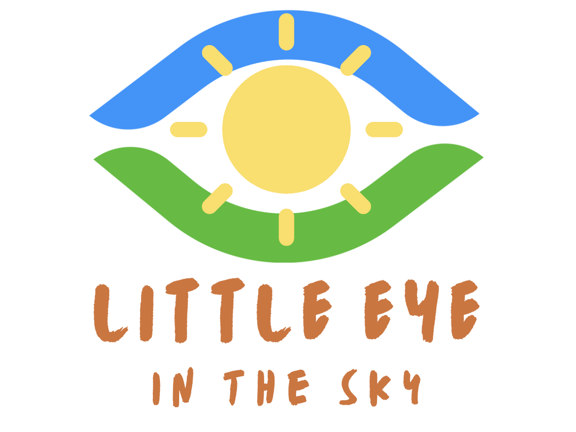 Little Eye in the Sky